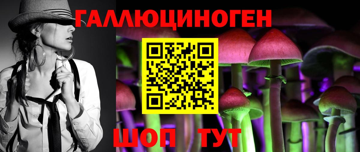 Усть-Джегута  Галлюциногенные грибы GOLDEN TEACHER  Вход с VPN  Псилоцибиновые грибы мухоморы 