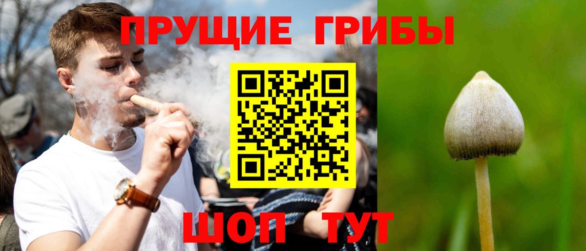 Псилоцибиновые грибы мухоморы Усть-Джегута